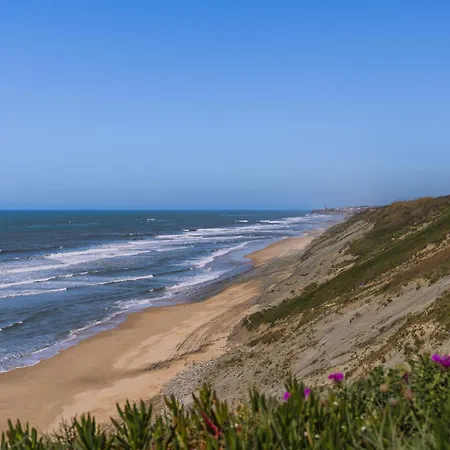 Surf - 7min Walk To The