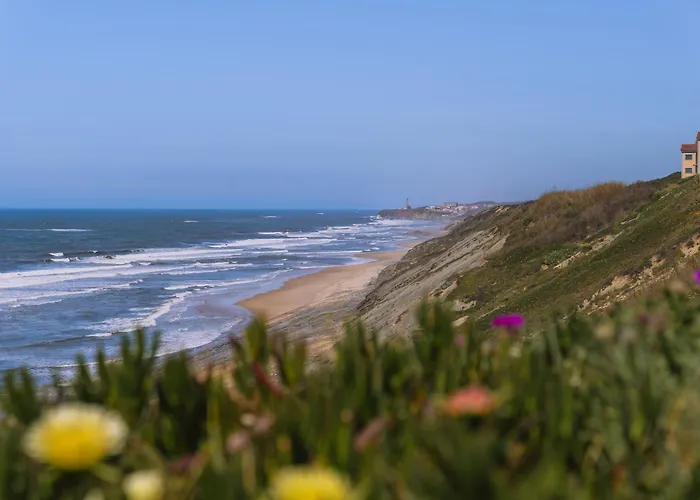 Surf - 7min Walk To The Διαμέρισμα *
